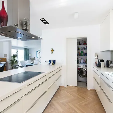 Apartment Apartments Villa Traunseeblick *