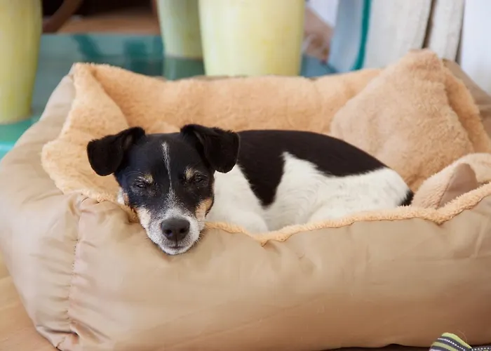 Appartement Traunseeblick *